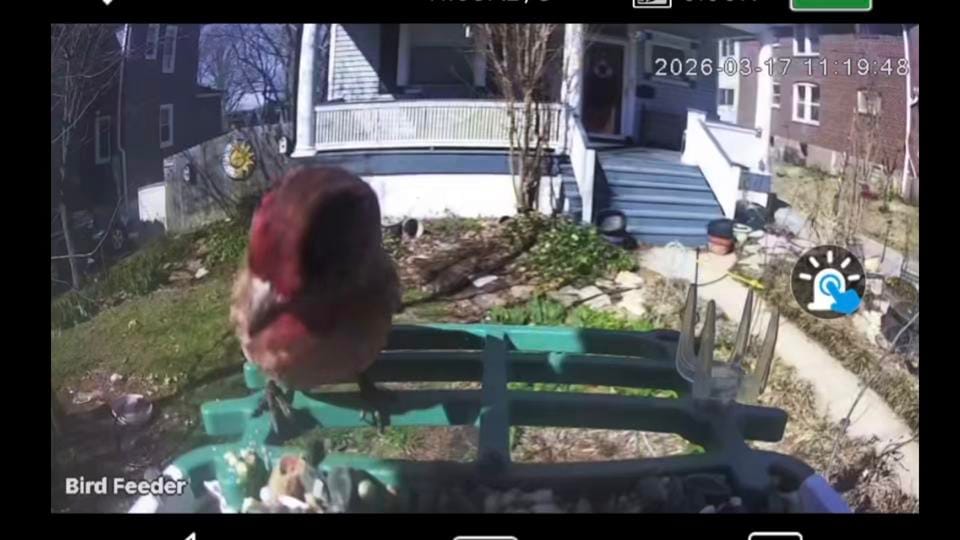 Post 5 by LostontheMetroSTL on TikTok (video)