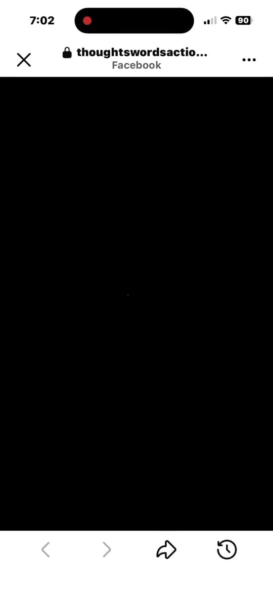 Post 6 by LostontheMetroSTL on TikTok (video)