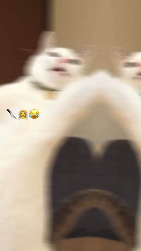 Post 9 by 𝑀𝒶𝑔𝓊𝒹𝓊𝒷𝓉🎀😂🫴🏻 on TikTok (video)