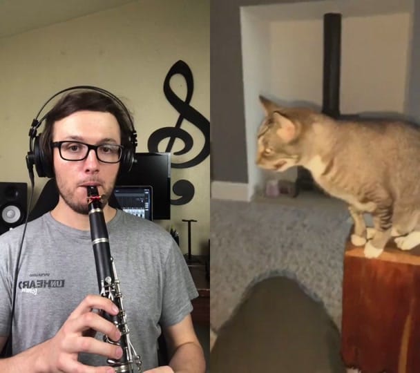 Post 10 by Joe Di Fiore on TikTok (video)