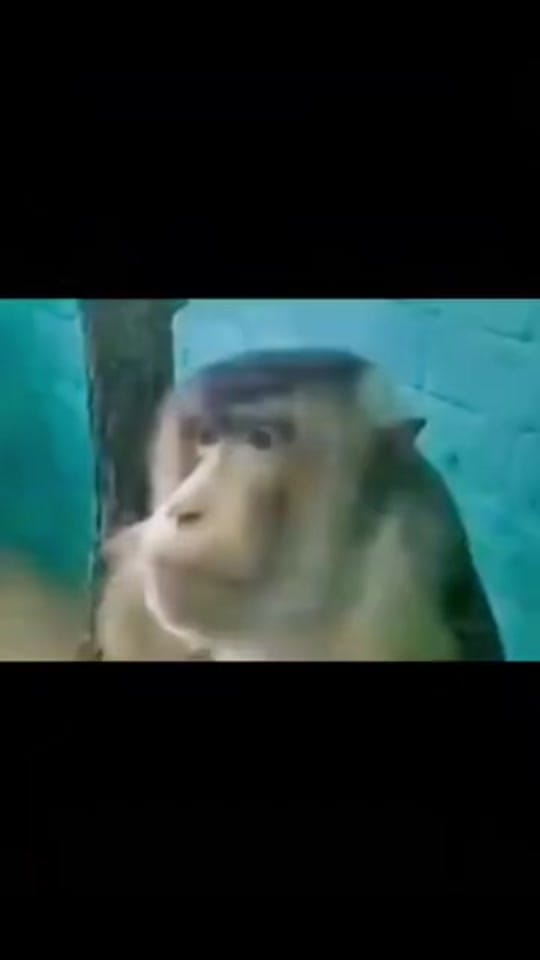 Post 6 by Randy Craig on TikTok (video)