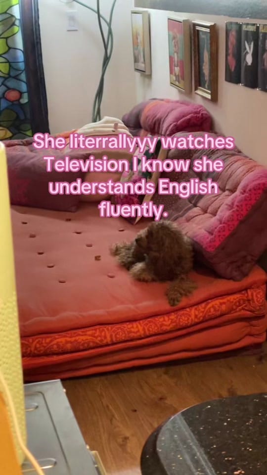 Post 7 by Lady Karagan on TikTok (video)