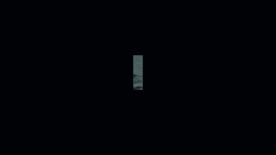 Post 5 by sofinaks on TikTok (video)