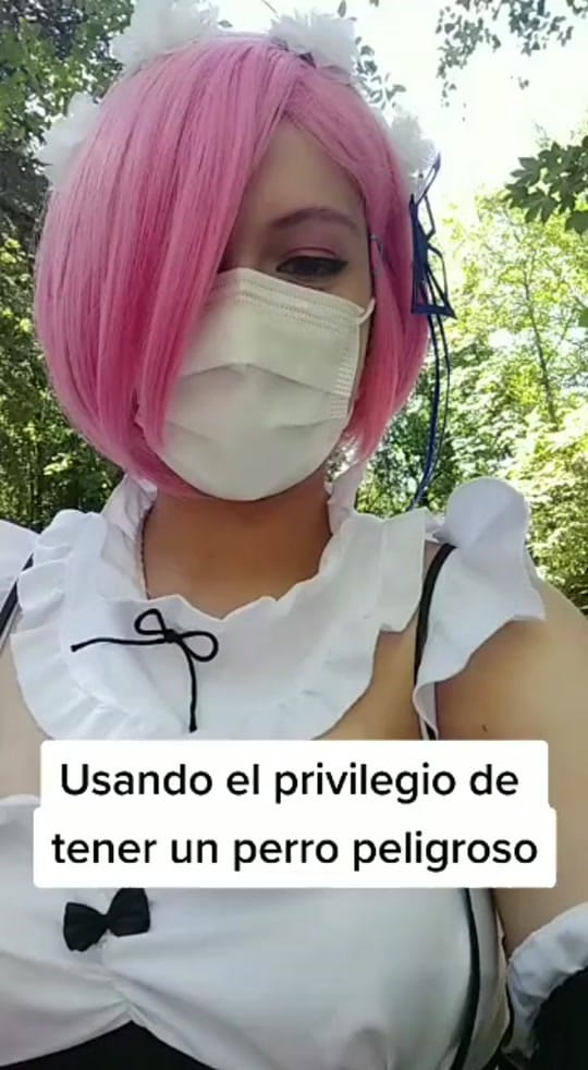 Post 5 by 🌺Eleneko🌺🍞 on TikTok (video)