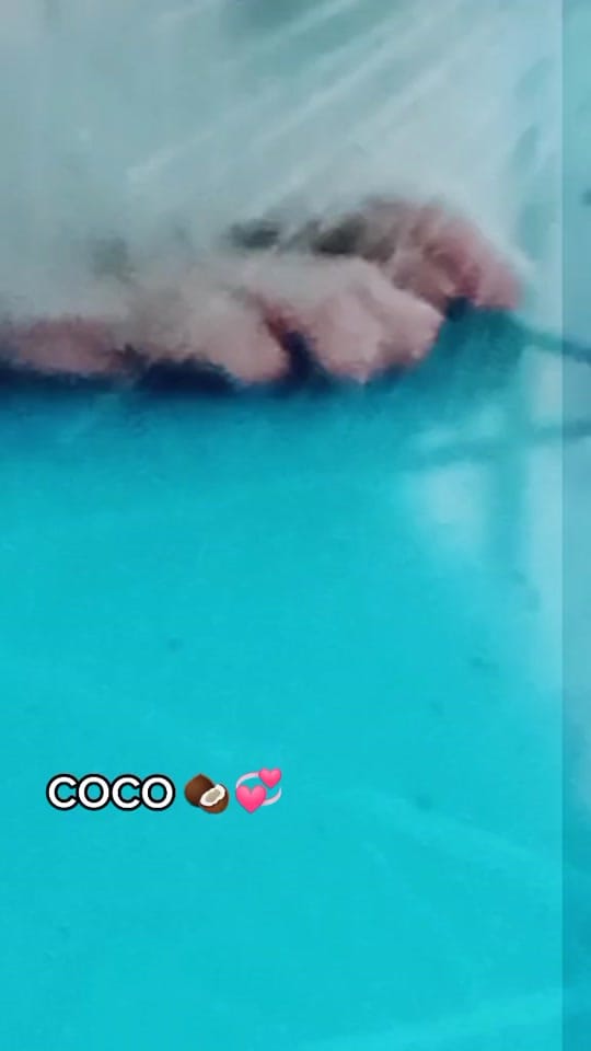 Post 6 by 🌺Eleneko🌺🍞 on TikTok (video)