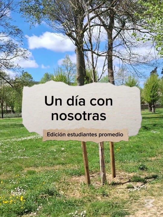 Post 1 by 🌺Eleneko🌺🍞 on TikTok (video)