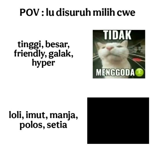 Post 7 by Lanzz. on TikTok (video)