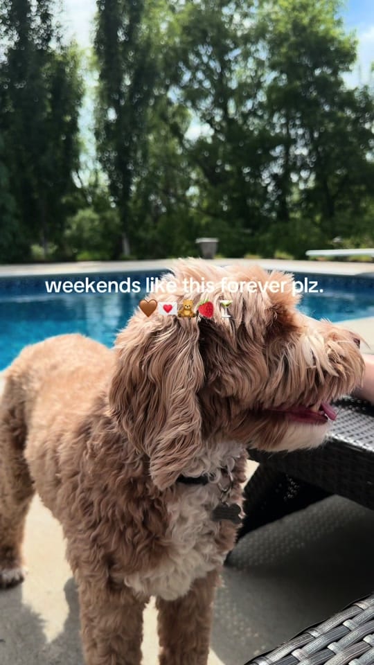 Post 5 by Colbi Carlson on TikTok (video)