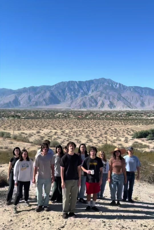 Post 7 by postanimalmusic on TikTok (video)