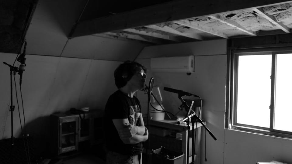 Post 3 by postanimalmusic on TikTok (video)
