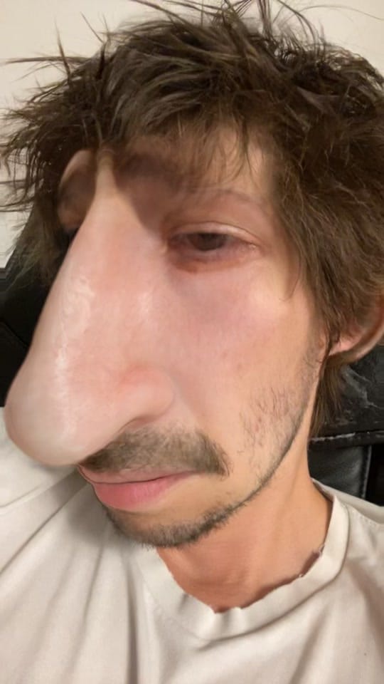 Post 5 by postanimalmusic on TikTok (video)