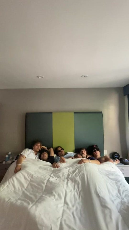 Post 9 by postanimalmusic on TikTok (video)