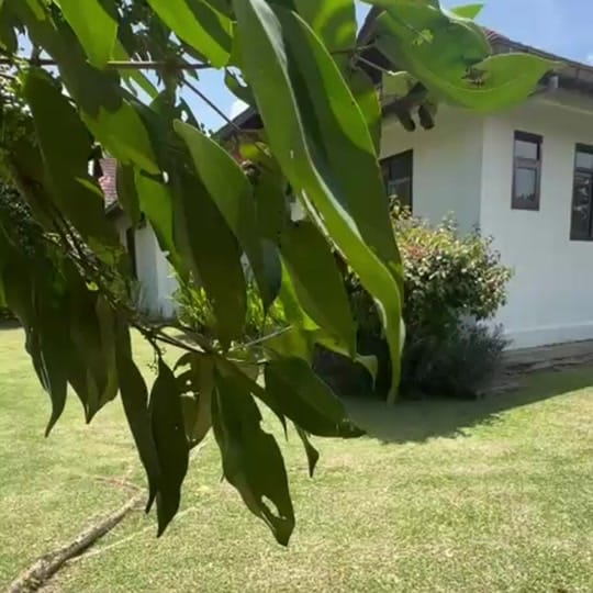 Post 5 by NAMIRA 🍉 on TikTok (video)