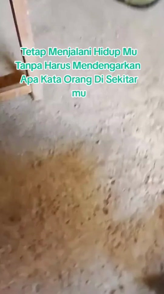 Post 6 by Opppa Chanda on TikTok (video)