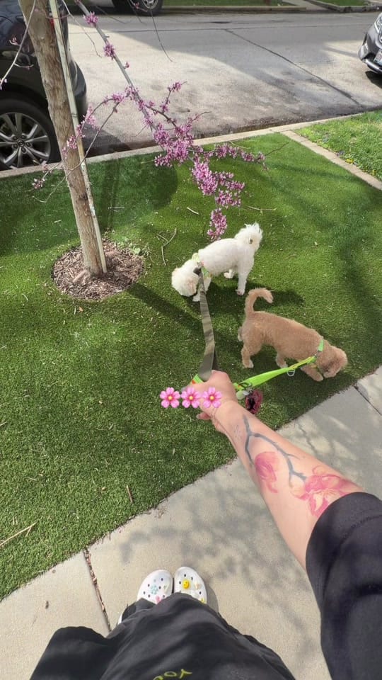 Post 7 by Cate ⊹₊ on TikTok (video)