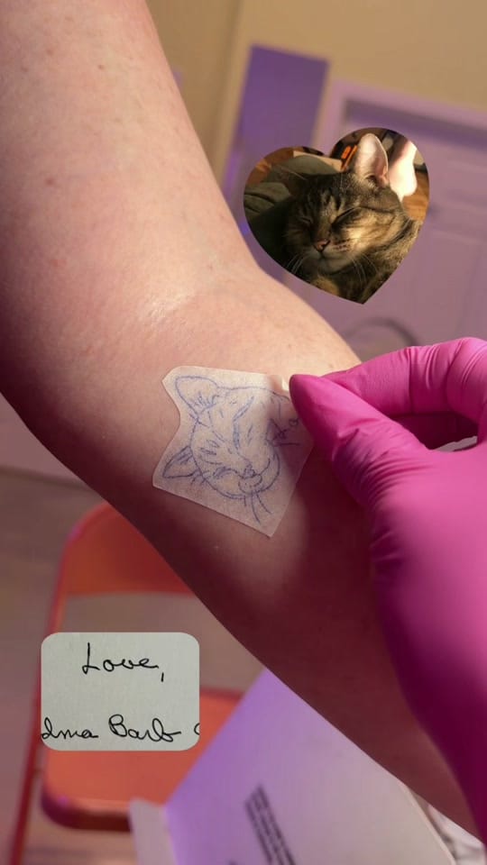 Post 4 by Cate ⊹₊ on TikTok (video)