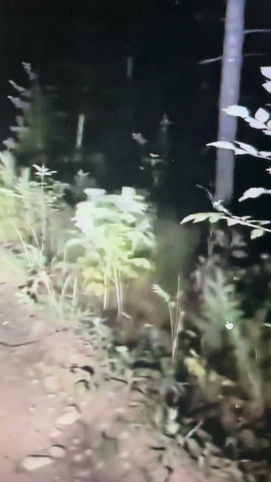Post 4 by big.mac.entertainment on TikTok (video)