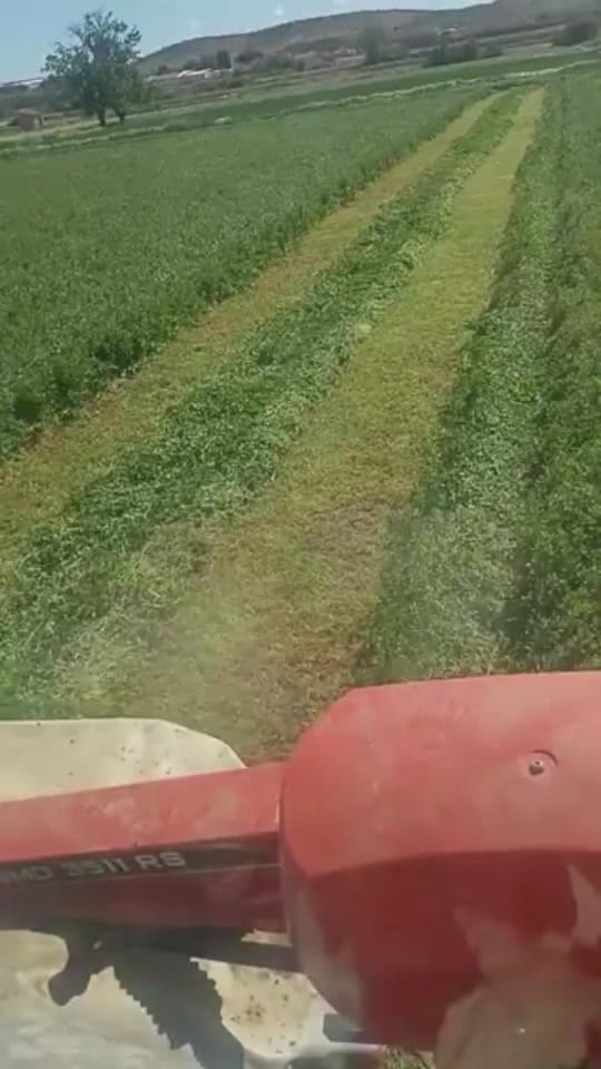 Post 5 by Houssain on TikTok (video)