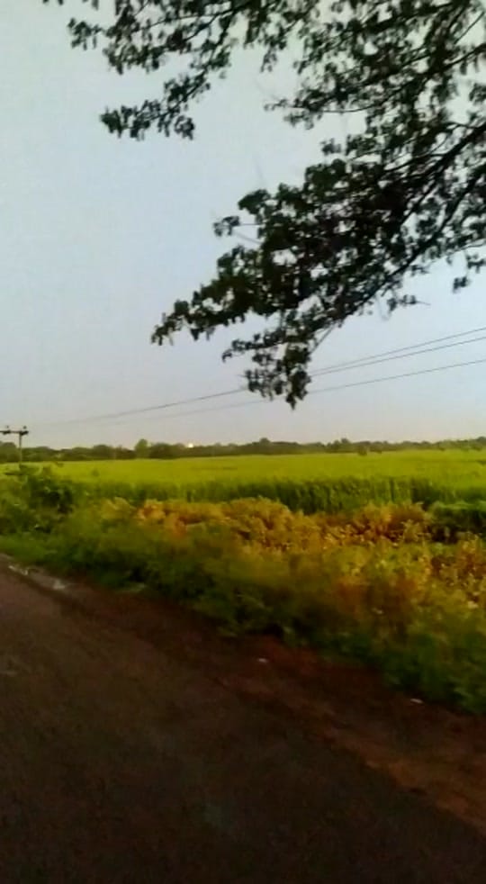 Post 5 by Ditonkhan333 on TikTok (video)