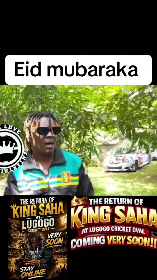 Post 5 by Saha wa pinman on TikTok (video)