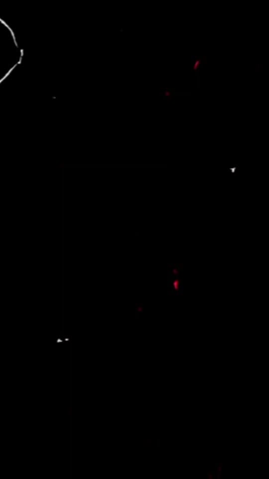 Post 6 by Tierra de Talento on TikTok (video)