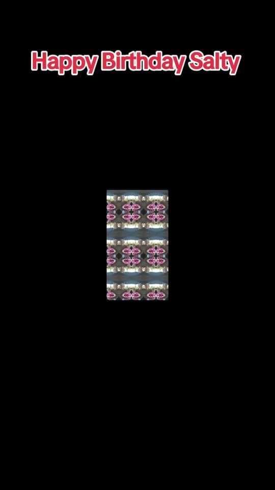 Post 4 by SaltyDogUSNavy on TikTok (video)