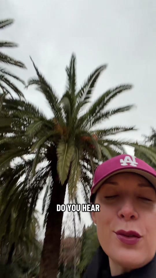 Post 10 by Mariachiara on TikTok (video)