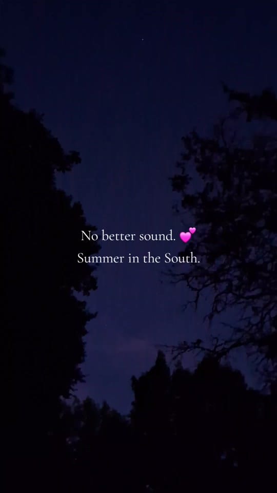 Post 5 by ThatFikeGal on TikTok (video)