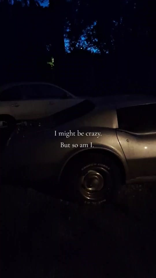 Post 4 by ThatFikeGal on TikTok (video)