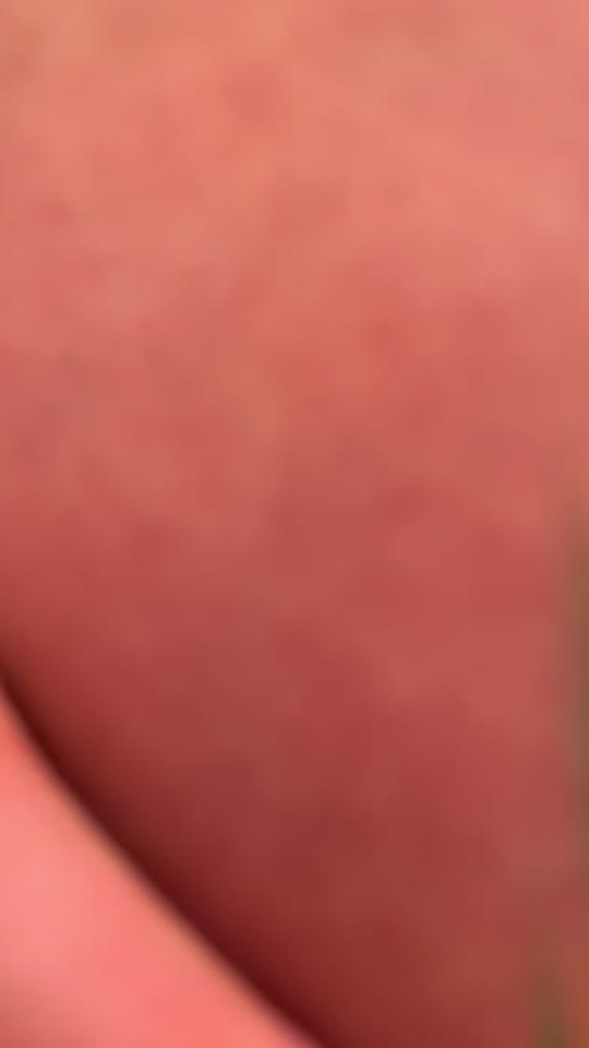 Post 2 by Olimpia Navas on TikTok (video)