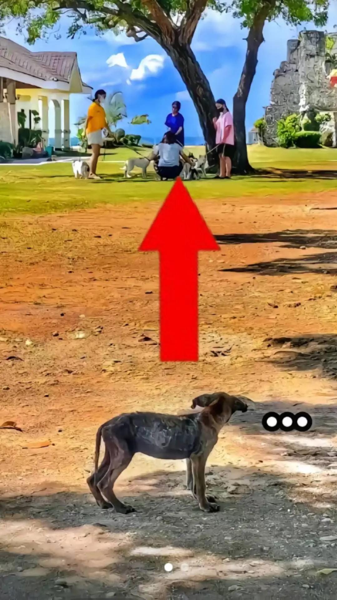 Post 1 by QUIZ-D on TikTok (video)