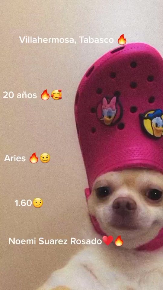 Post 5 by Rosado Noemi❤ La Morena🔥🥵 on TikTok (video)