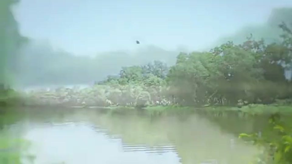 Post 8 by Arif 🇧🇩🇺🇸 on TikTok (video)