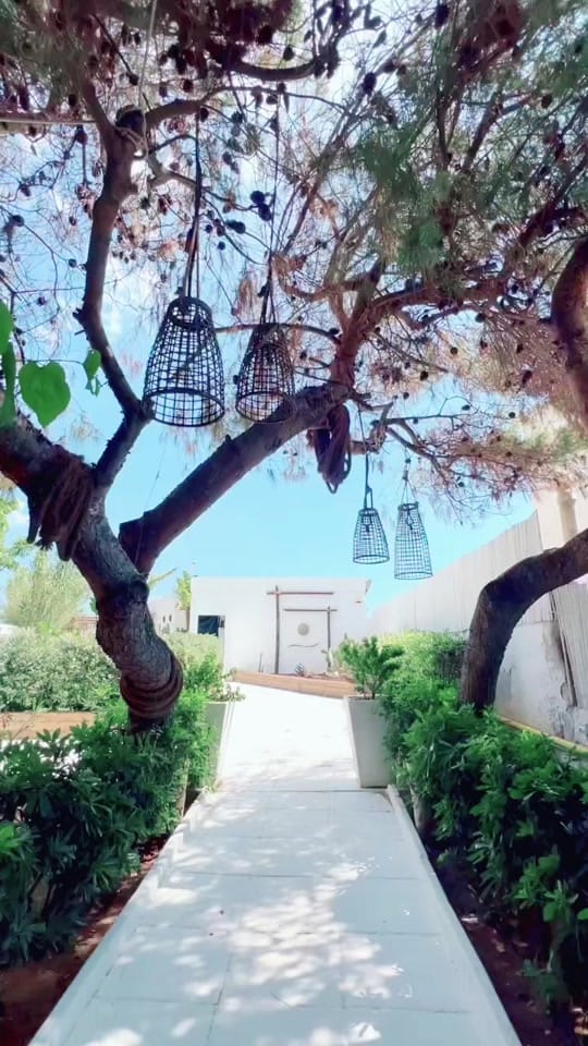 Post 7 by Bahar Akinci on TikTok (video)