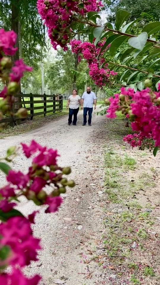 Post 3 by Dreamscape Photography + Video on TikTok (video)