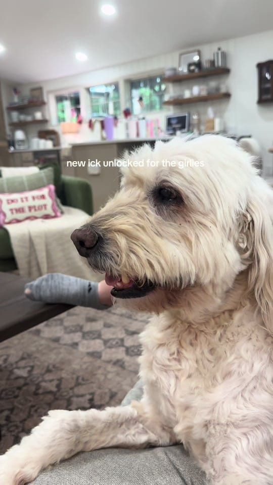 Post 1 by molly | 1868 farmhouse 🚜 on TikTok (video)