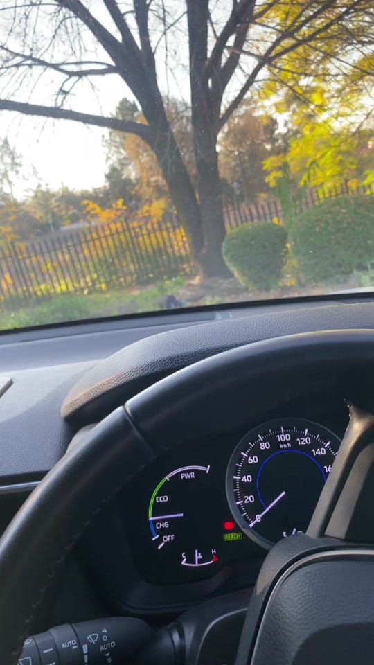 Post 1 by fxtvlibrary on TikTok (video)