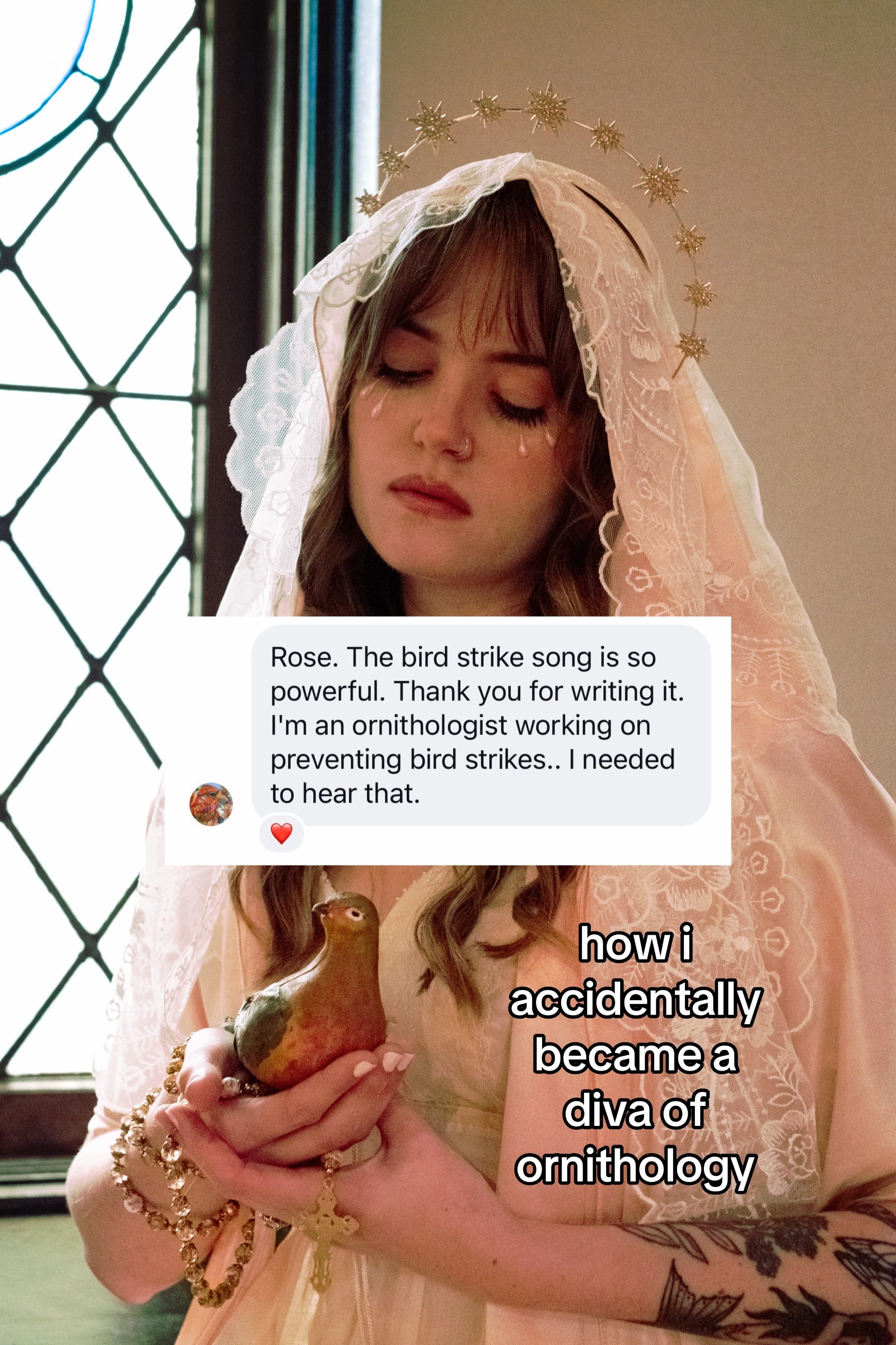 Post 7 by Rose Starring on TikTok (video)