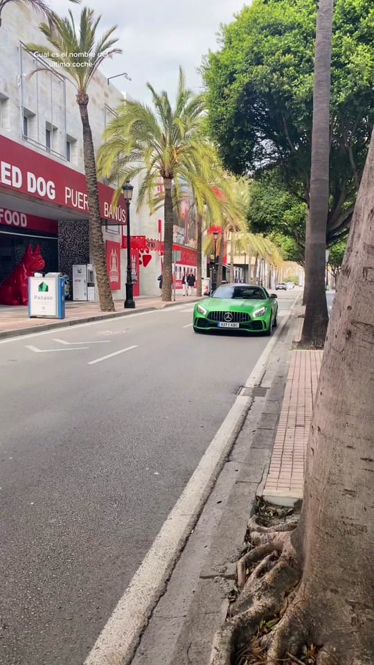 Post 5 by 𝔻𝕒𝕧𝕚𝕕🚗❤️ on TikTok (video)
