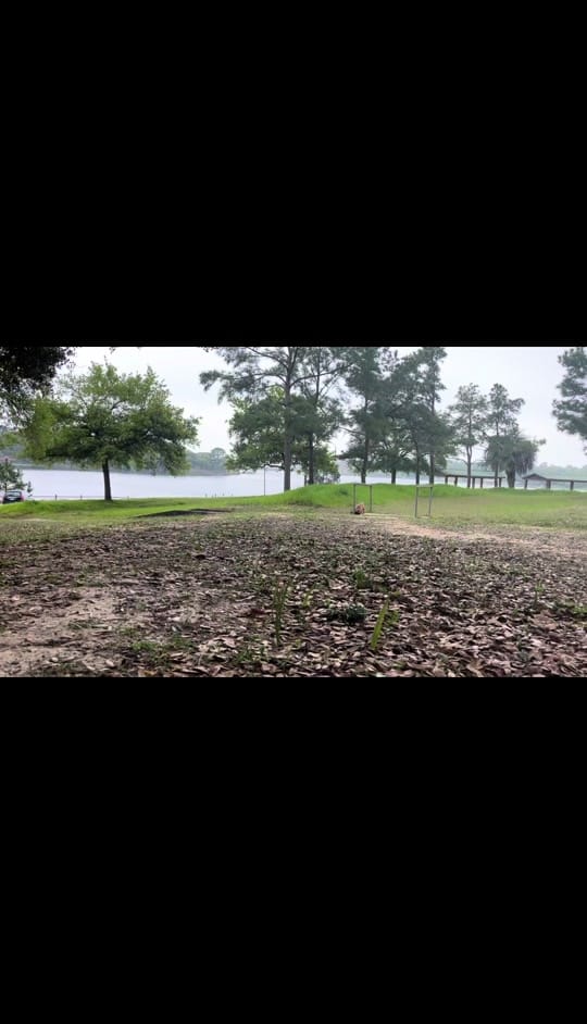 Post 4 by Elfie owl on TikTok (video)