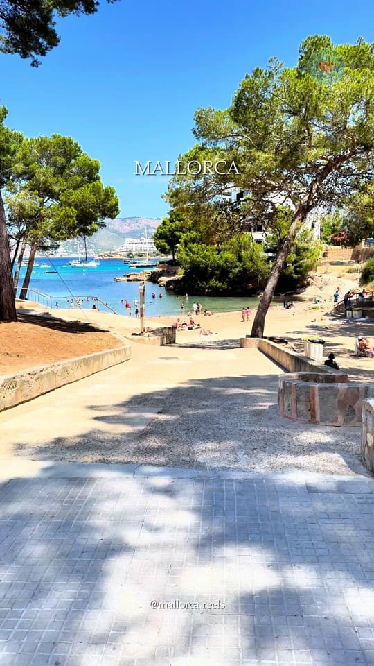 Post 4 by Mallorca Reels on TikTok (video)