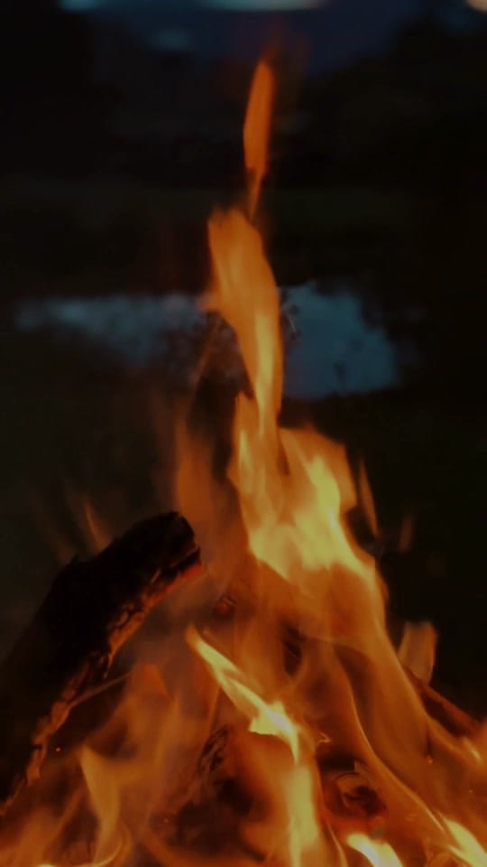 Post 9 by Jessie Haines on TikTok (video)