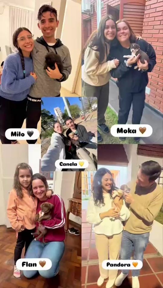 Post 9 by Maxi 🐾 on TikTok (video)