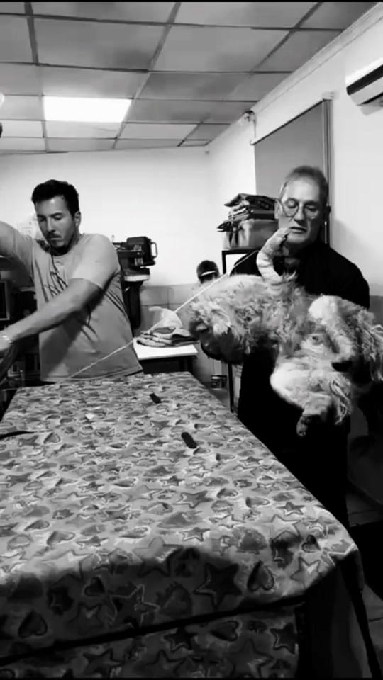 Post 2 by Maxi 🐾 on TikTok (video)