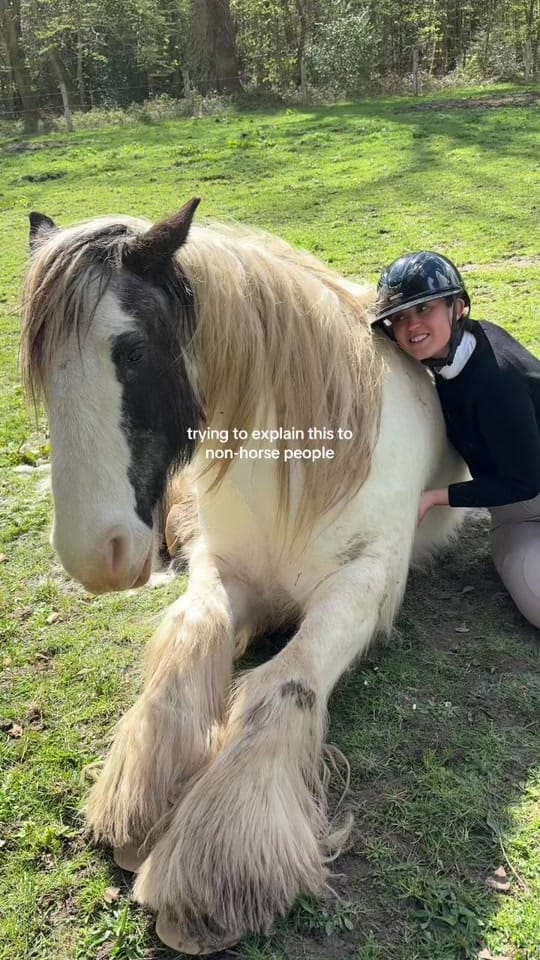 Post 5 by Mireia on TikTok (video)