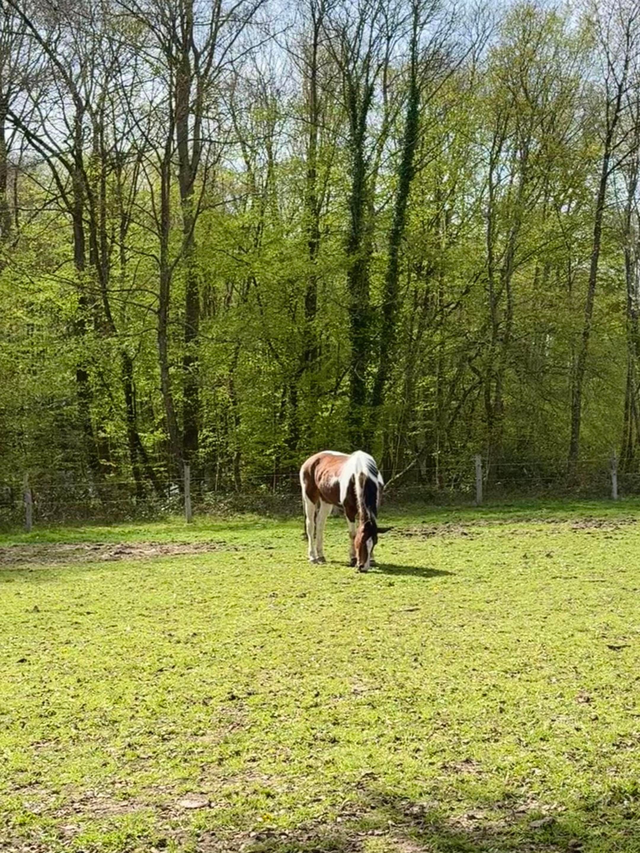 Post 4 by Mireia on TikTok (video)