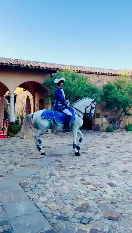 Post 6 by Nicolas_Diaz on TikTok (video)
