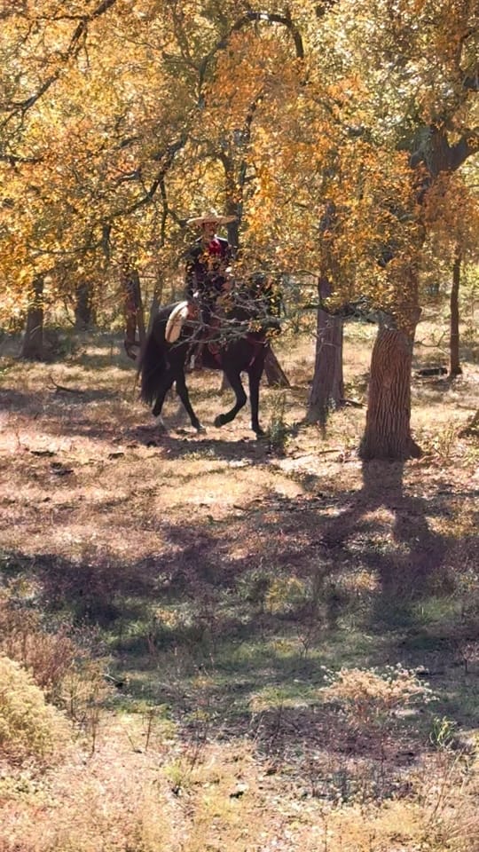 Post 3 by Nicolas_Diaz on TikTok (video)