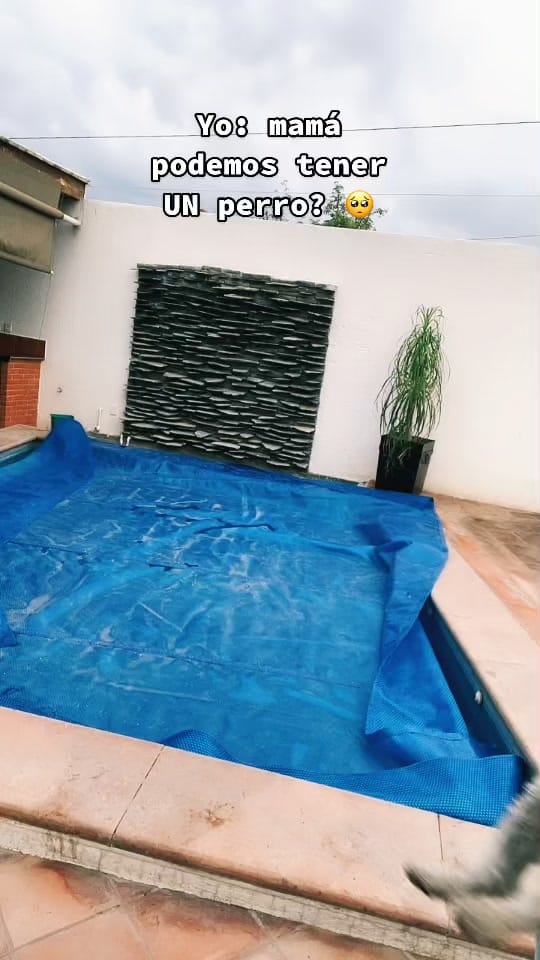 Post 9 by maria.perusquia on TikTok (video)