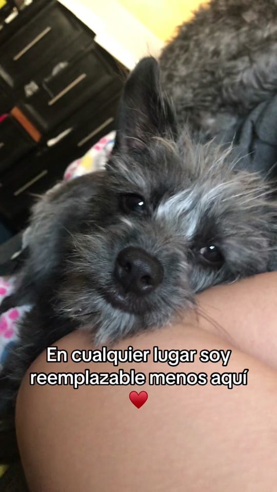 Post 6 by maria.perusquia on TikTok (video)